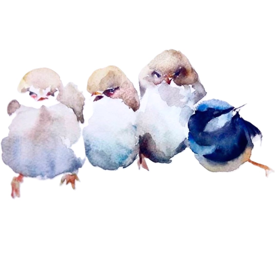 Watercolor illustration of birds