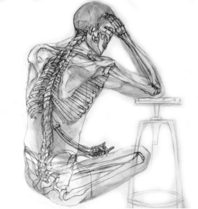 Anatomical drawing study